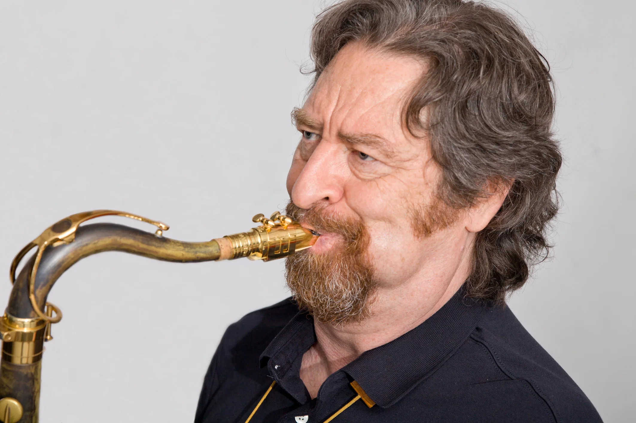 Daniel Guggenheim Quartet auf der Bühne