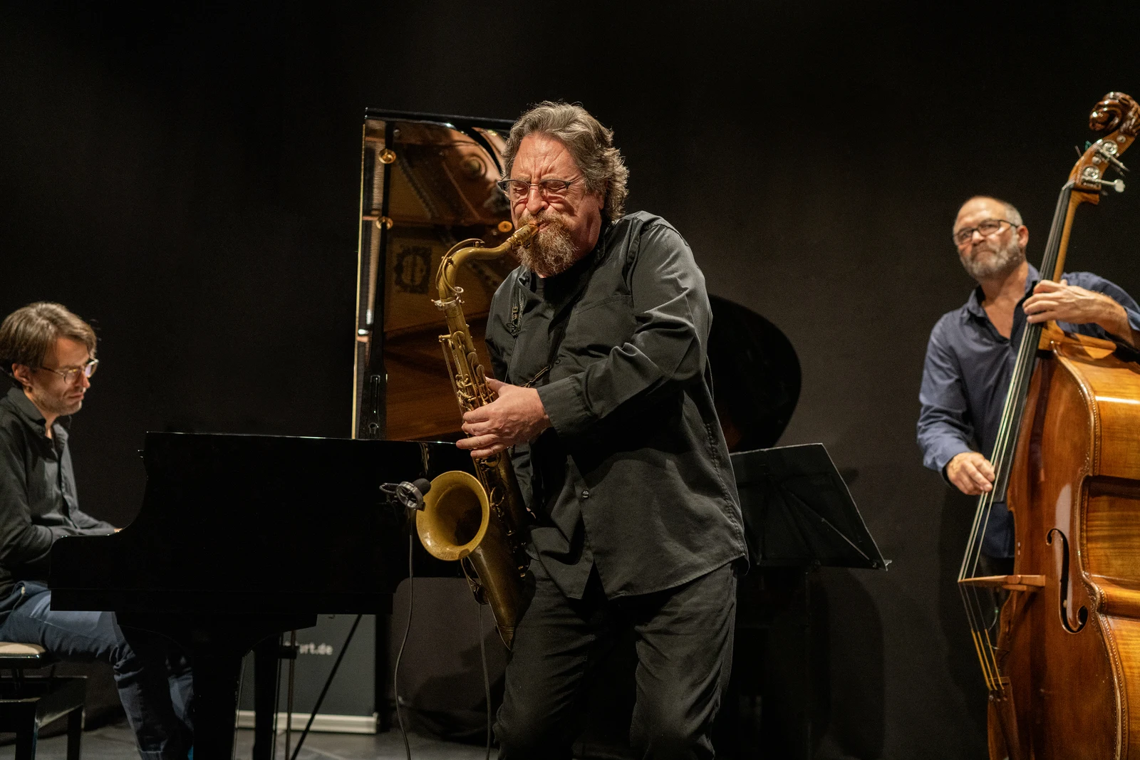 Daniel Guggenheim spielt Tenorsaxofon im Trio mit Klavier und Kontrabass — Foto: Anja Jahn